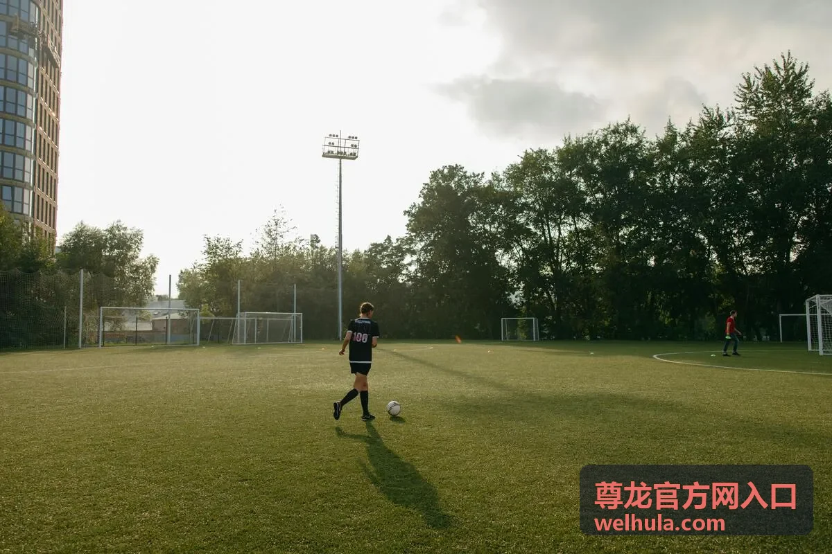 尊龙官方网入口服务细则背景图