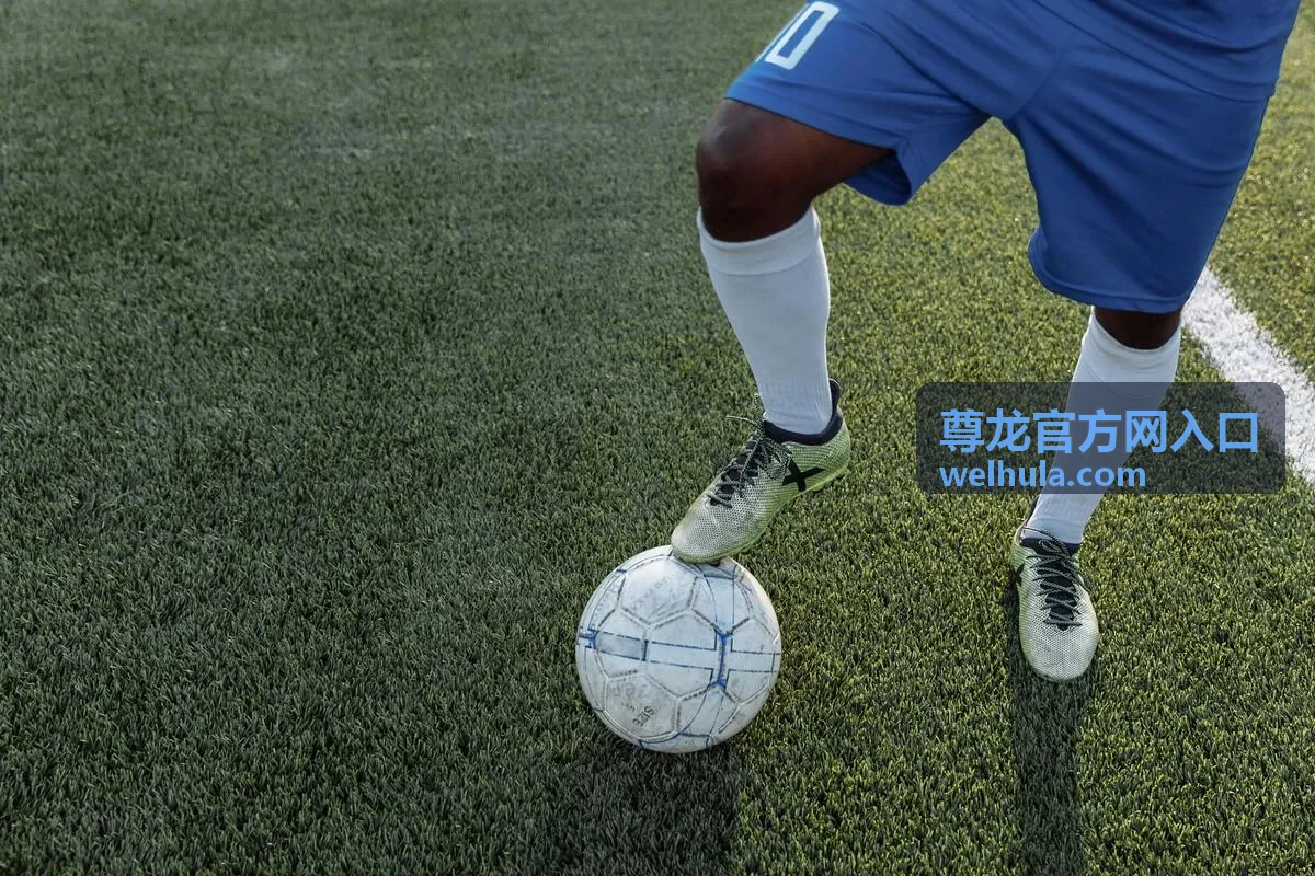 服务细则分类页面入口